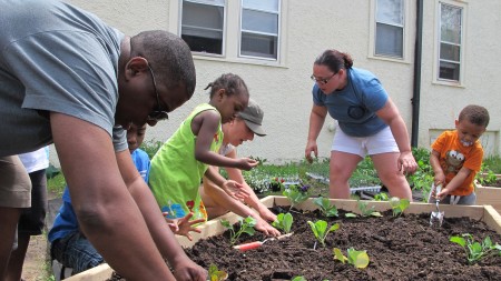 Metcalfe Park residents plant vegetables in the community garden near 28th and Wright streets in June 2013. Metcalfe Park is one of the neighborhoods in the Building Neighborhood Capacity Program. (Photo by Andrea Waxman) 