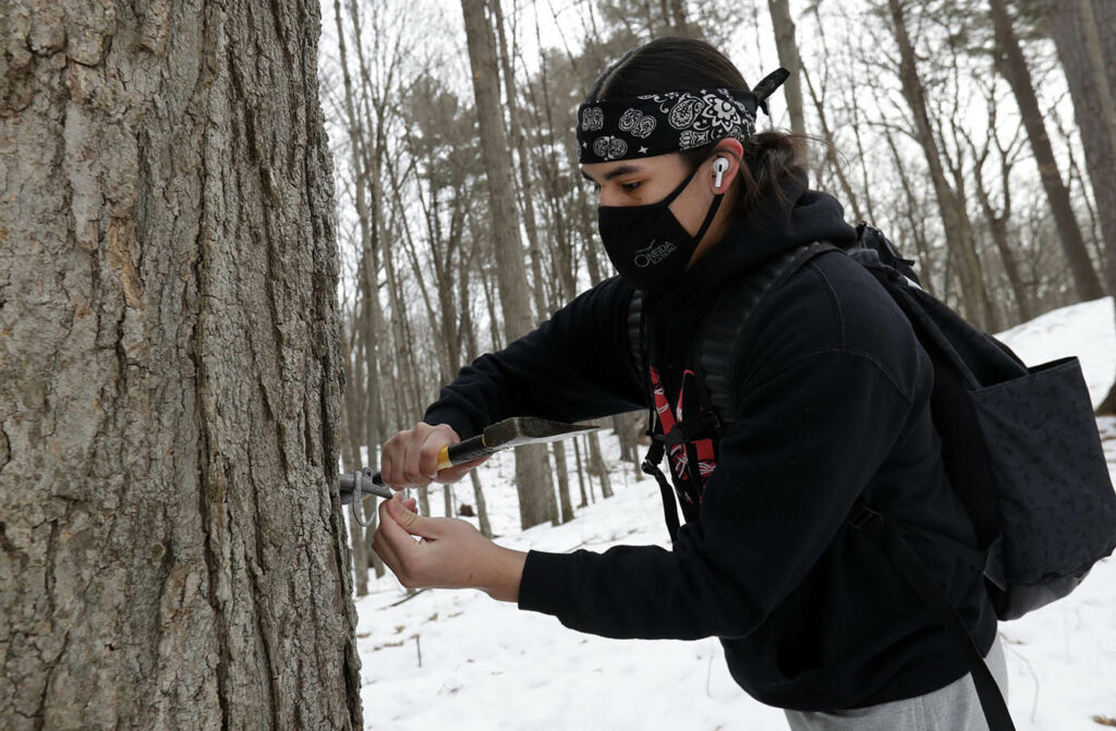 Photo of Dustin Elm tapping a maple tree in the woods. 