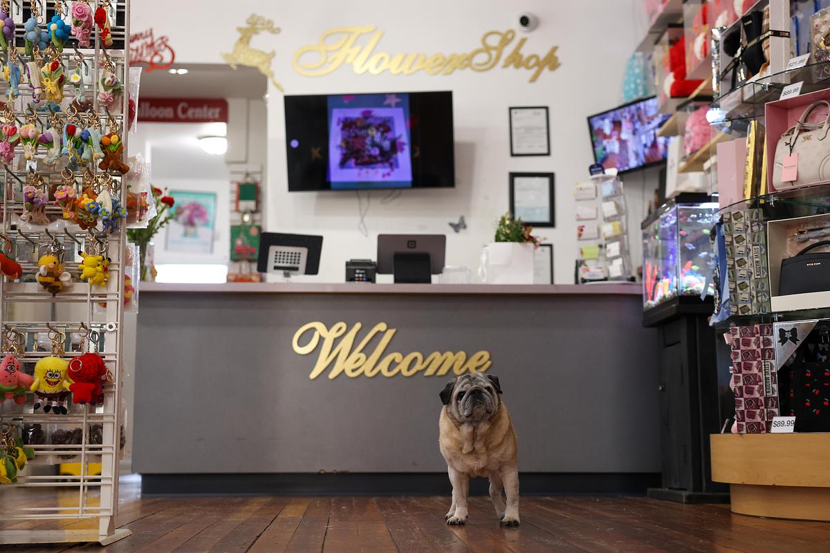 Mitchell Street floral shop creates ‘Unforgettable Moments’ for Milwaukee’s Latino community